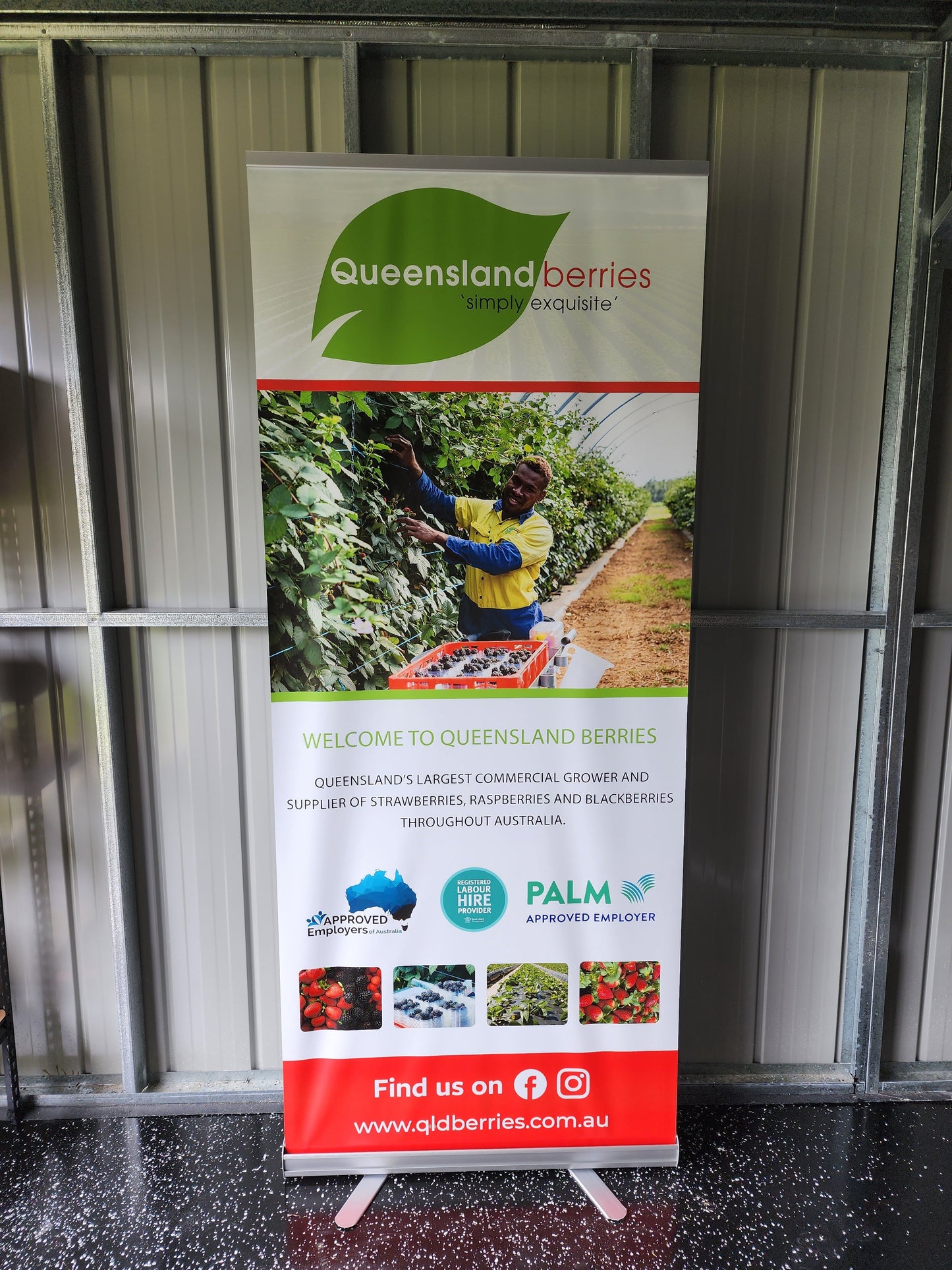 Pull Up Banner
