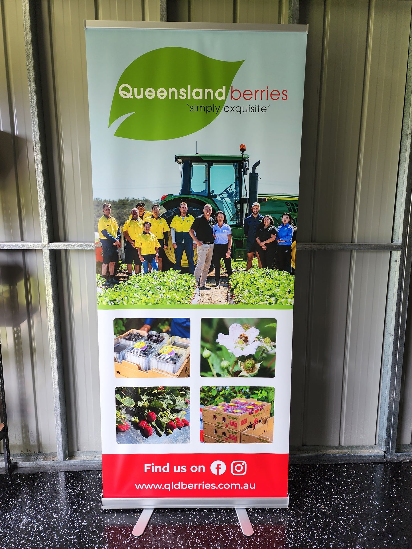 Pull Up Banner