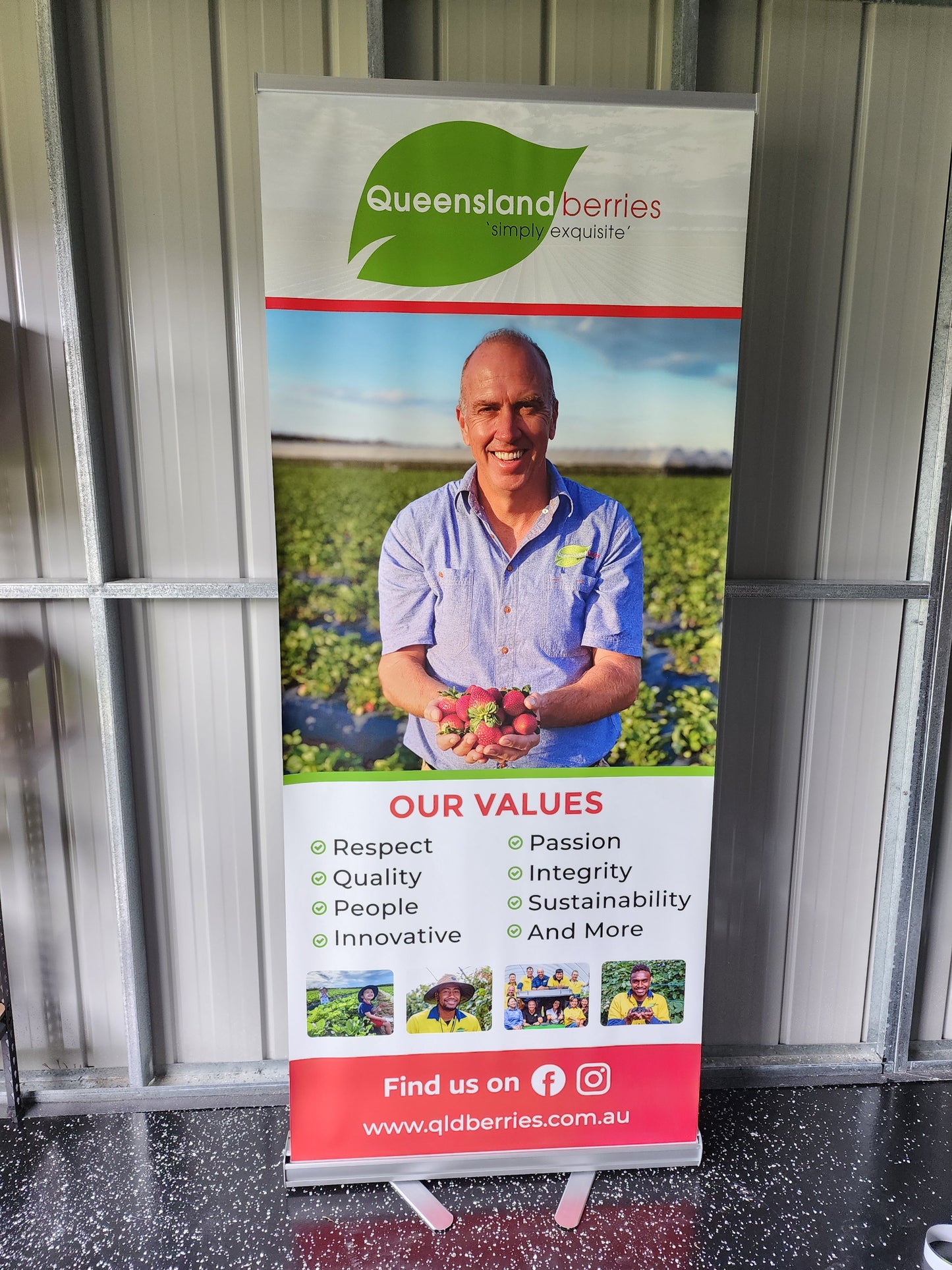 Pull Up Banner