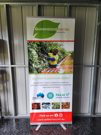 Pull Up Banner